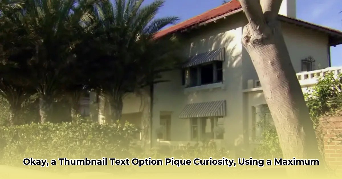 dina-shacknai-net-worth